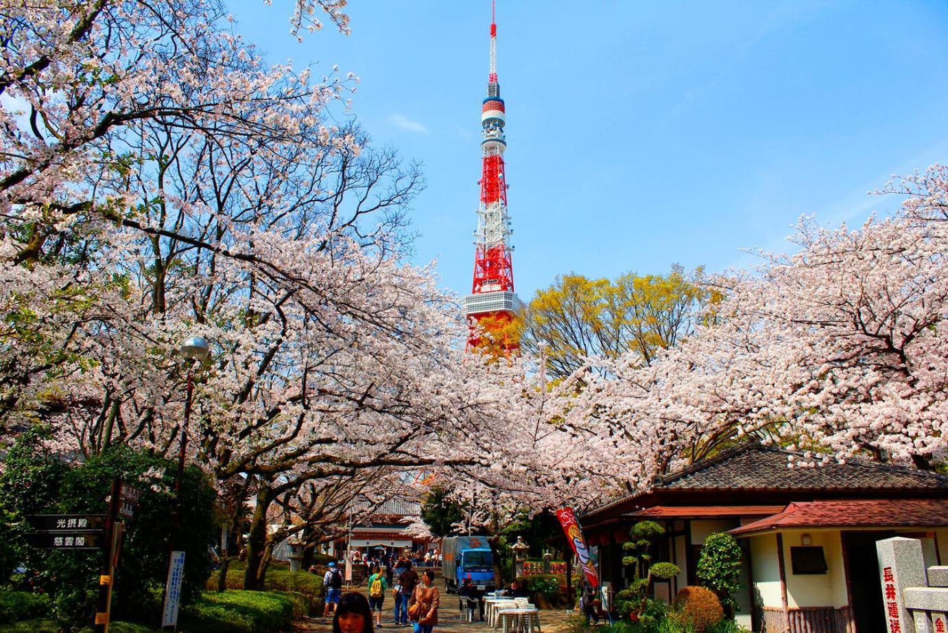 Rose Stay Tokyo Shiba Park Екстер'єр фото